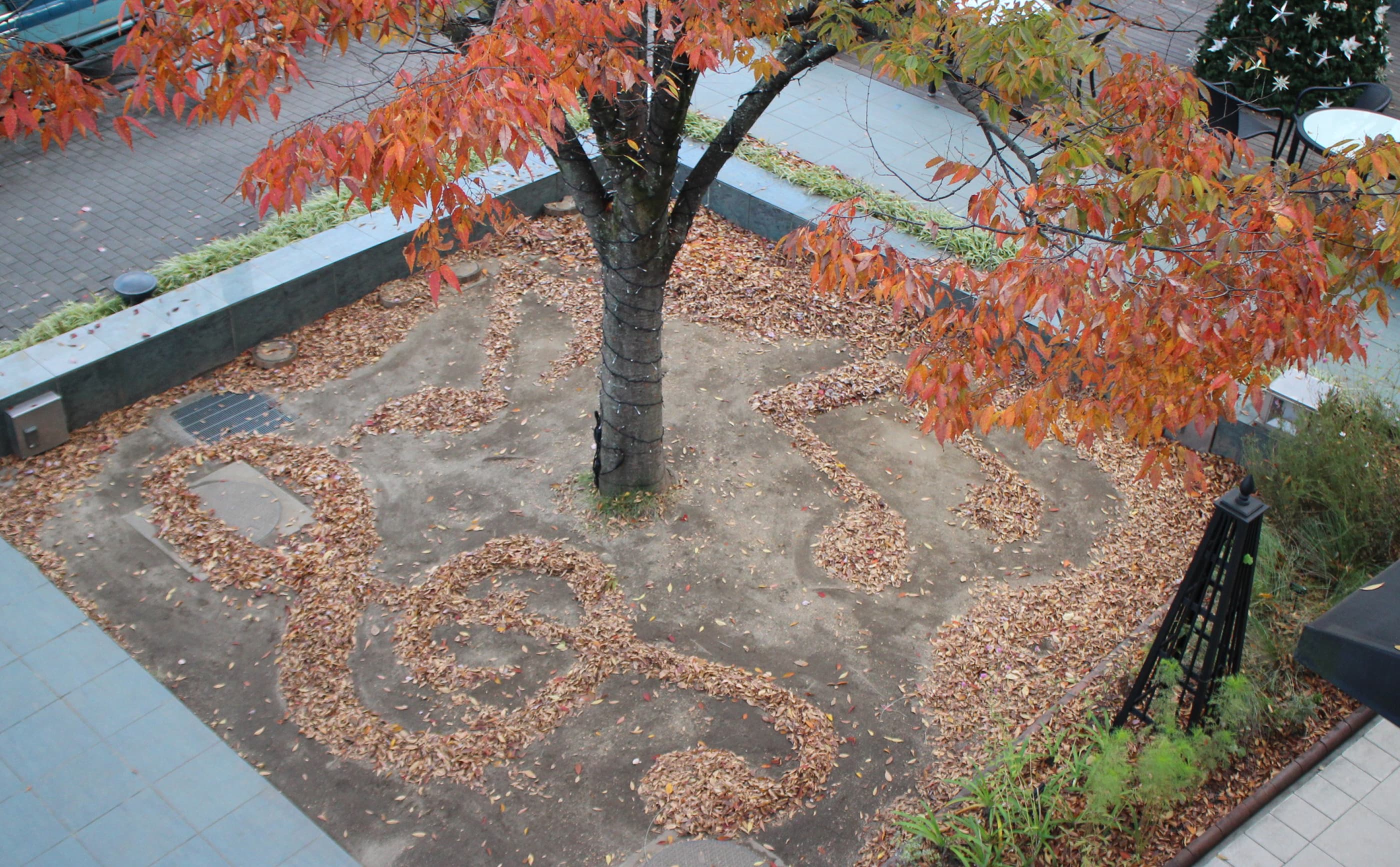 星が丘テラス外観 3