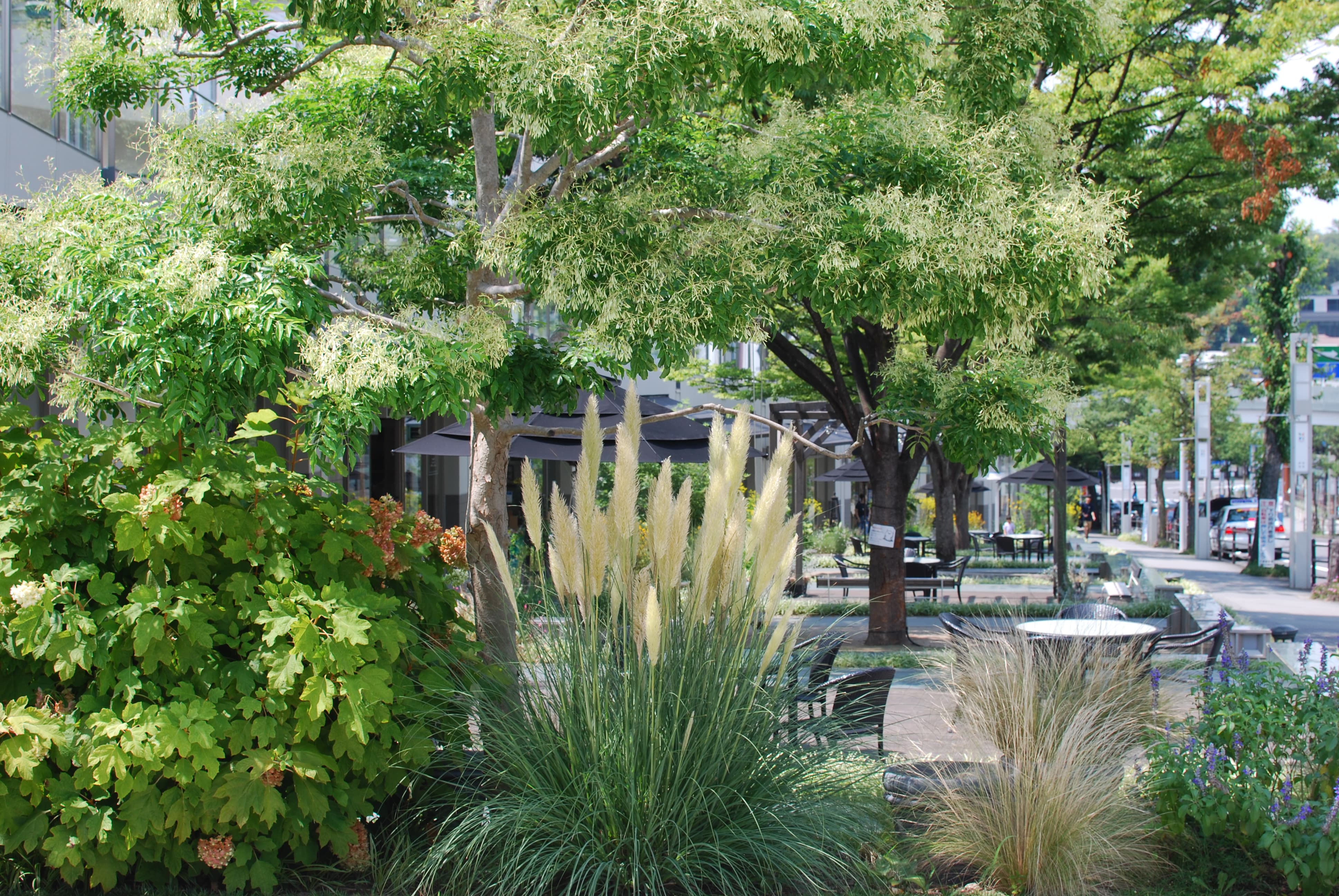 ナチュラリスティックガーデン