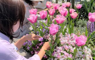 星が丘コミュニティーガーデン「星のガーデナーProject 2026」～初心者向けオーガニックガーデニングの年間体験実習～