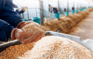 12月13日（土）サイエンス・カフェ～生産者さんの想いと飼料 私たちの食卓を繋ぐ物語～