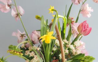 1月22日（木）春の球根のお花のアレンジメント