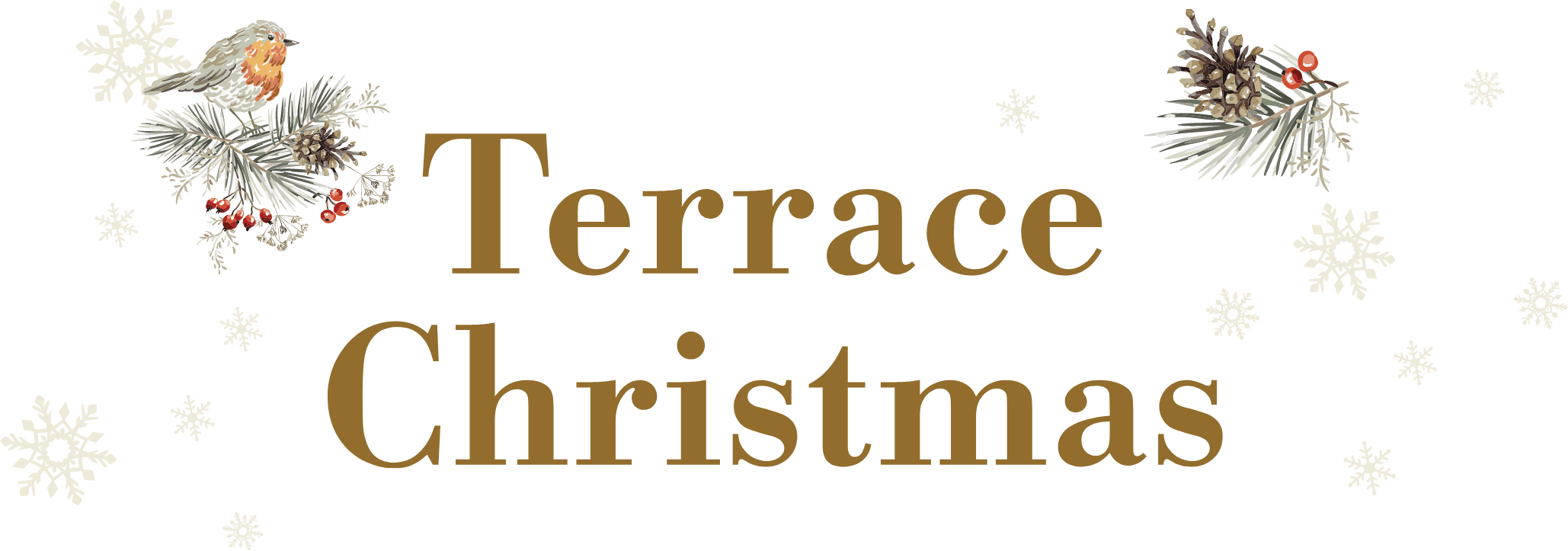 Terace Christmas