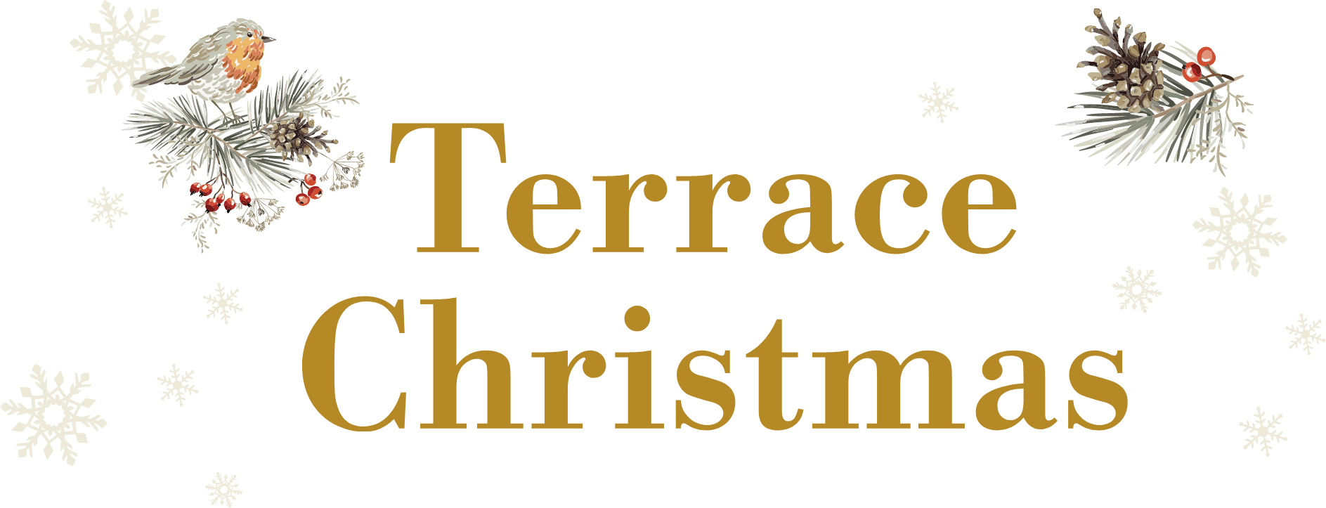 Terace Christmas