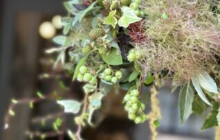 6月27日（土）スモークツリーのフライングリース