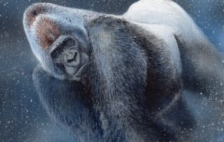 【予告】GORILLA WORLD