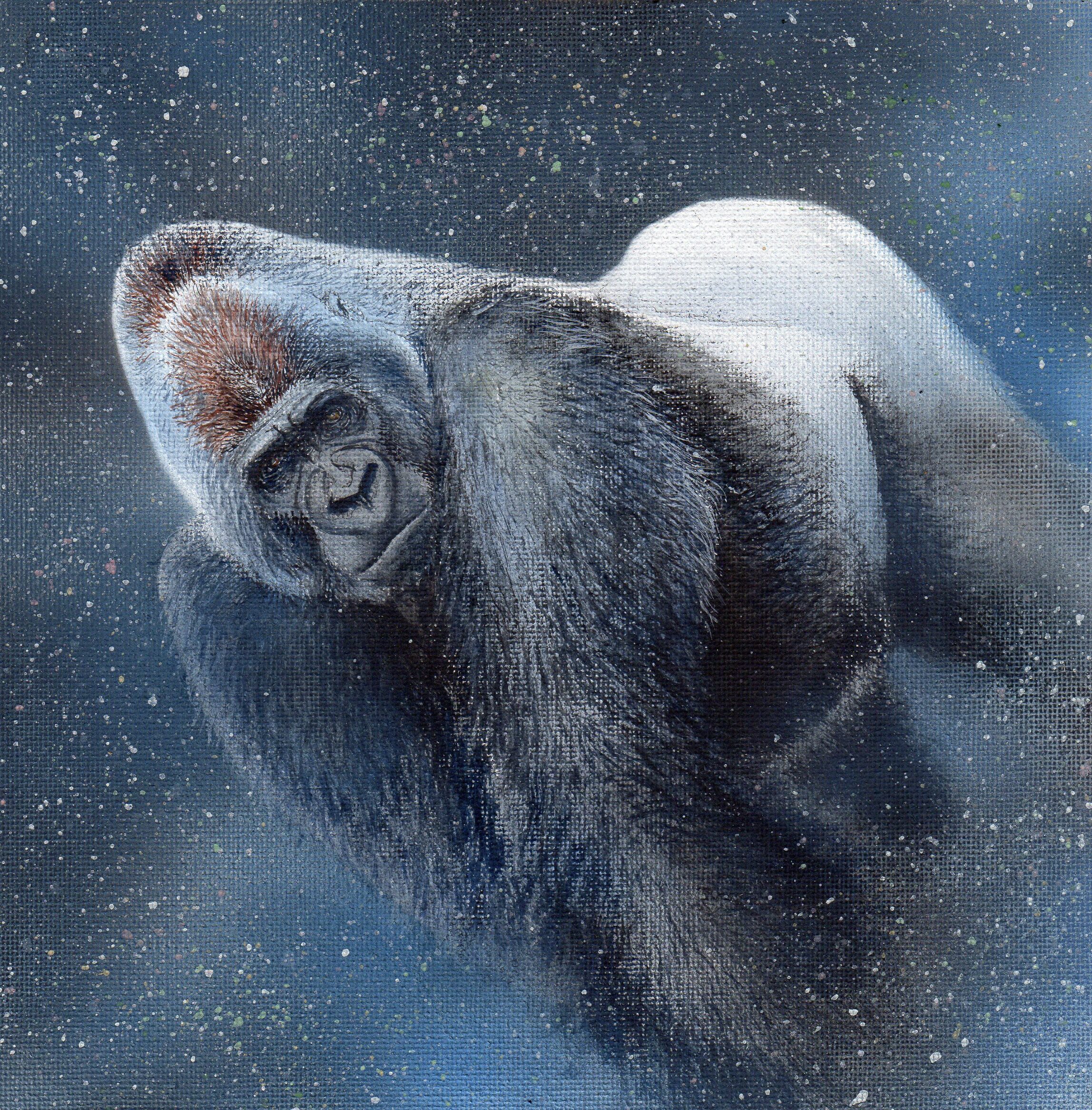 【予告】GORILLA WORLD