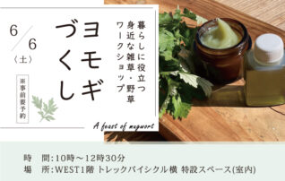 6/6（土）身近な雑草・野草ワークショップ「ヨモギづくし」