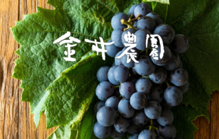 8月19日（水）丘をつなぐプロジェクト #丘プロ～東谷地区のぶどうでスローライフ～